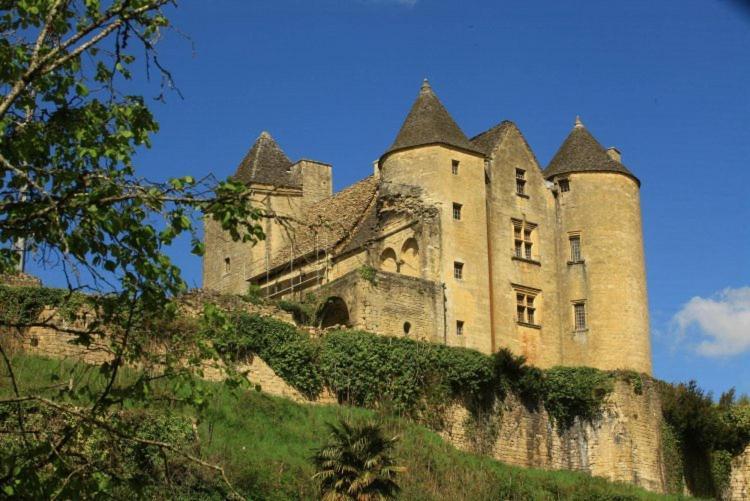 Petite maison en pierre au coeur du Périgord noir proche de Sarlat et Rocamadour Salignac Eyvigues Esterno foto