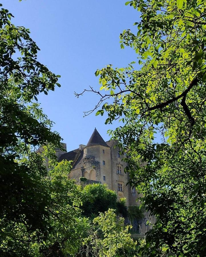 Petite maison en pierre au coeur du Périgord noir proche de Sarlat et Rocamadour Salignac Eyvigues Esterno foto