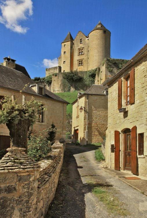 Petite maison en pierre au coeur du Périgord noir proche de Sarlat et Rocamadour Salignac Eyvigues Esterno foto