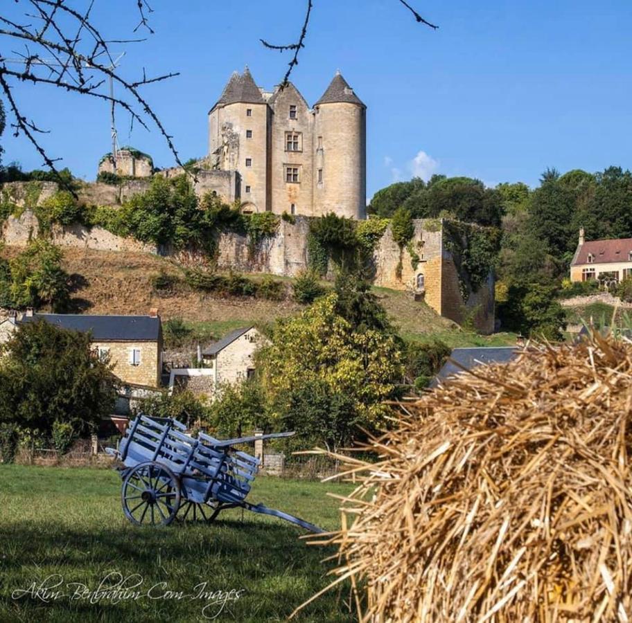 Petite maison en pierre au coeur du Périgord noir proche de Sarlat et Rocamadour Salignac Eyvigues Esterno foto