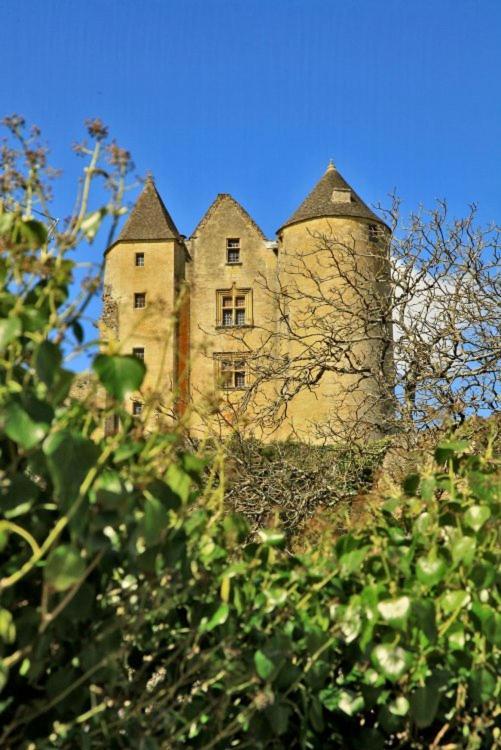Petite maison en pierre au coeur du Périgord noir proche de Sarlat et Rocamadour Salignac Eyvigues Esterno foto